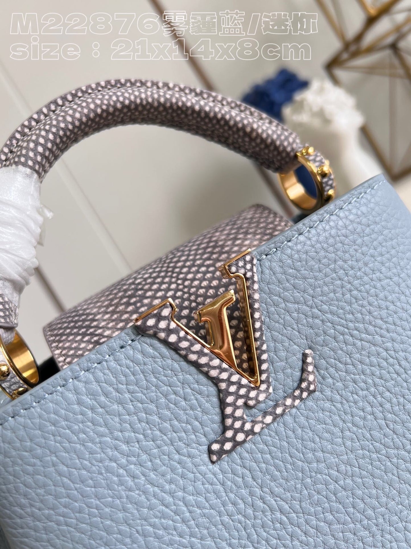 Louis Vuitton LV Capcines PM Bag